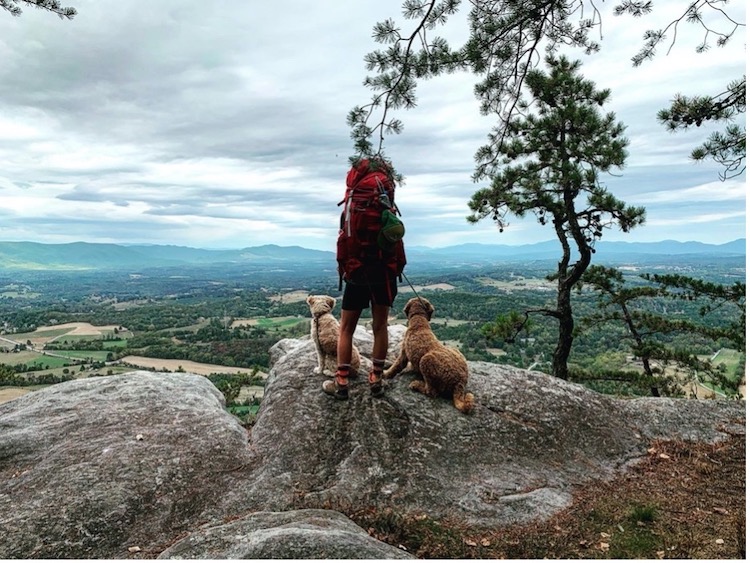 Appalachian Trail, VA.jpg