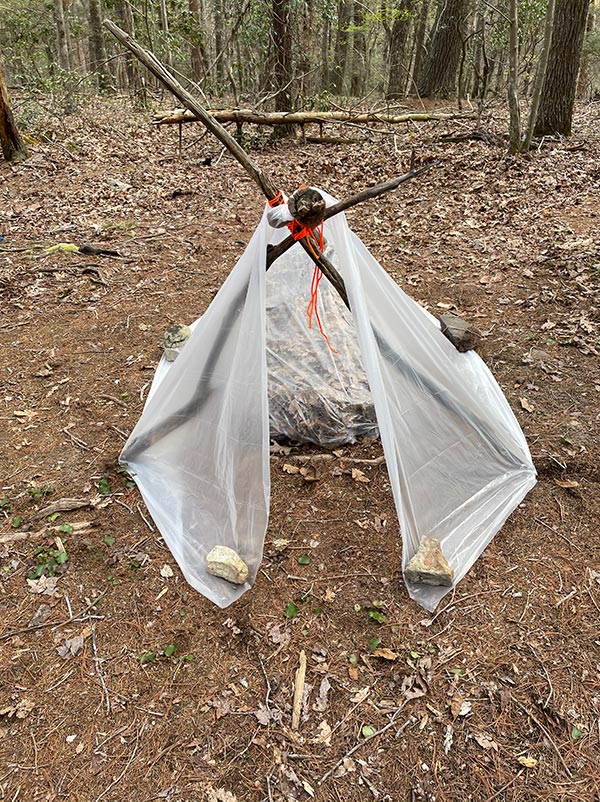 Makeshift A-frame shelter with leaf mattress.jpg