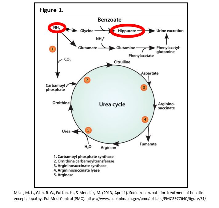 Critical Care Figure 1.png