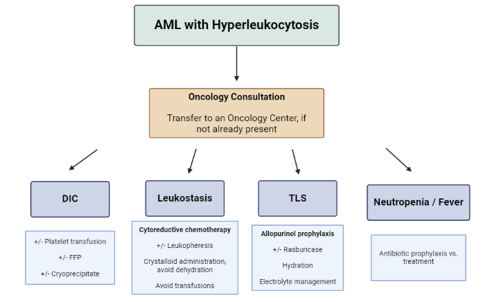 Hyperleuko-Jan 2025 (1).png