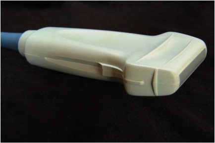 MSK-Figure 3 - linear probe.jpg