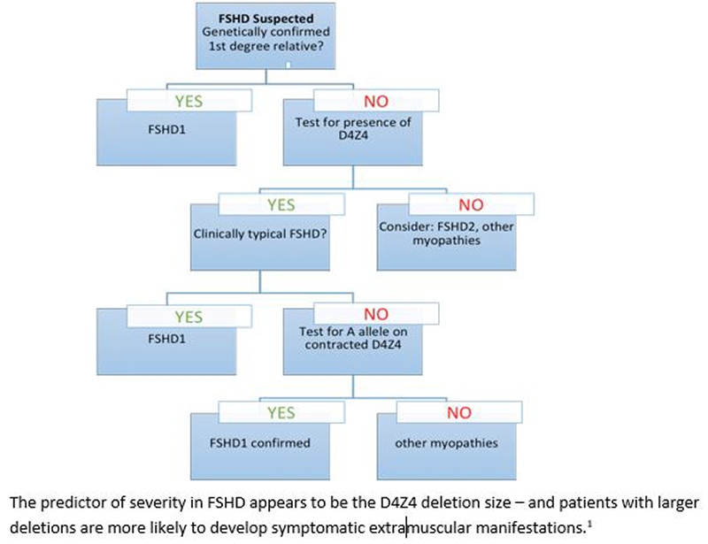 Interesting case Chart