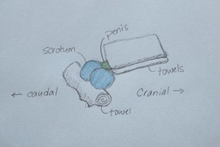 Torsion - Image 5.jpg